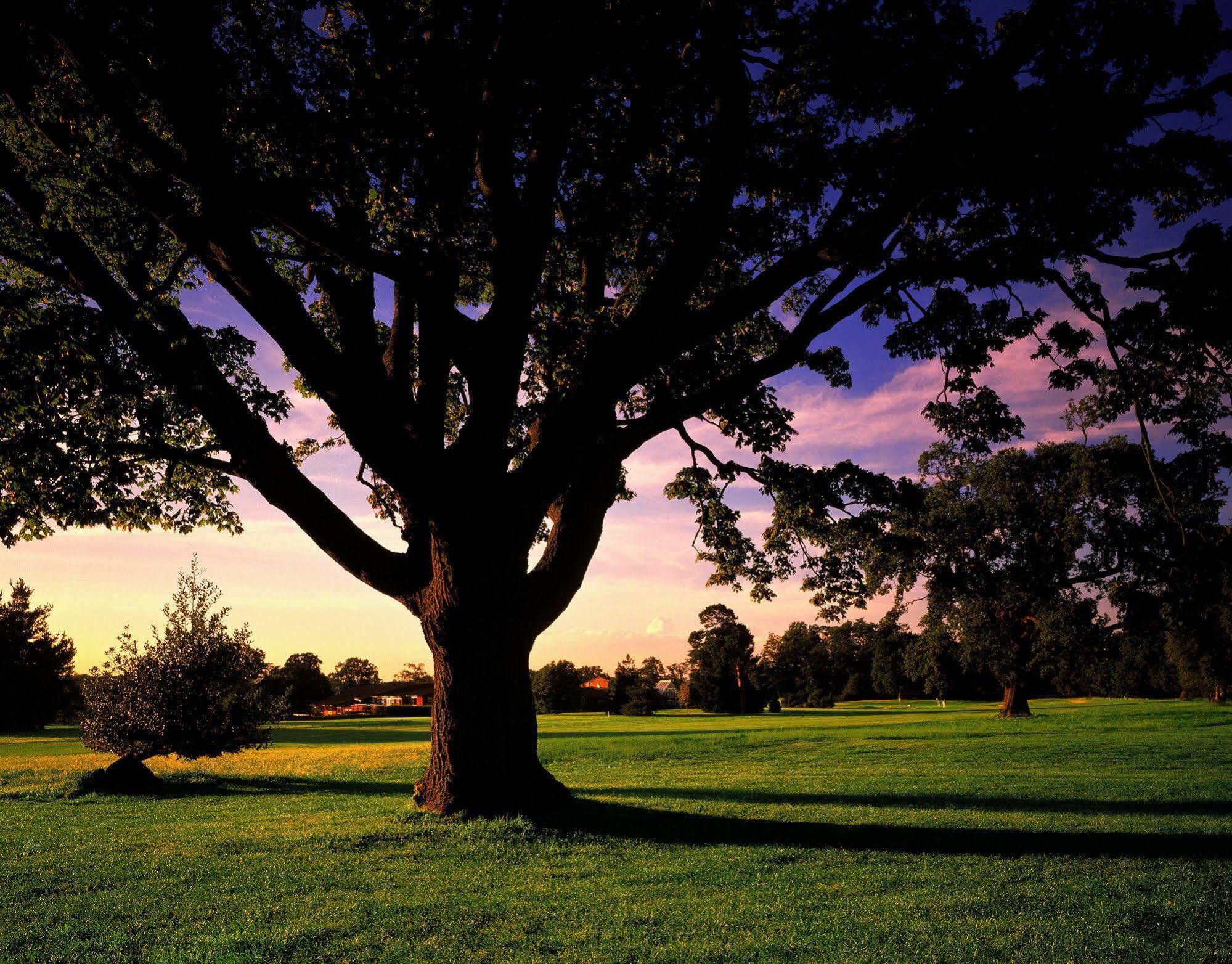 Meon Valley Hotel, Golf & Country Club Shedfield Dış mekan fotoğraf