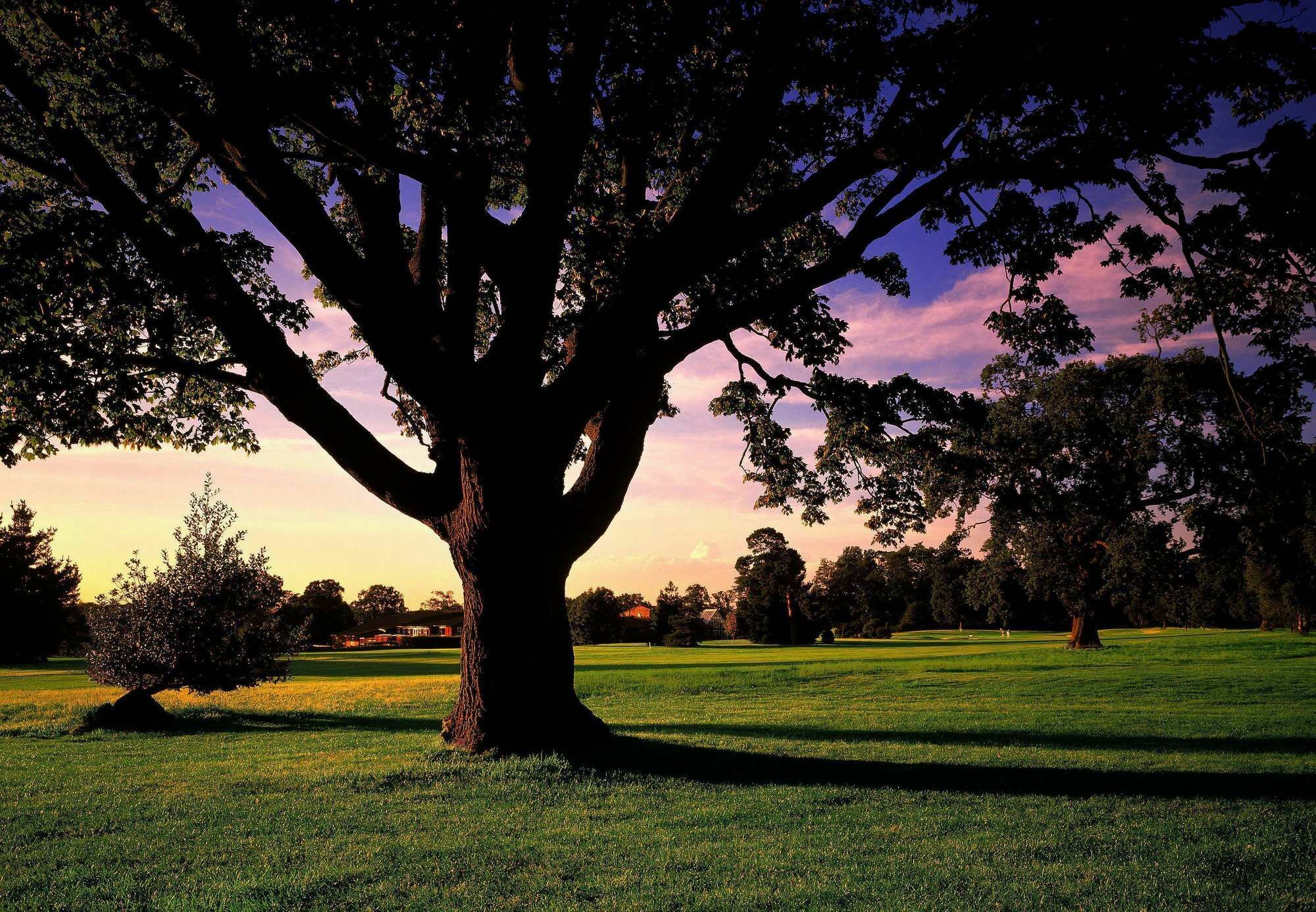 Meon Valley Hotel, Golf & Country Club Shedfield Dış mekan fotoğraf