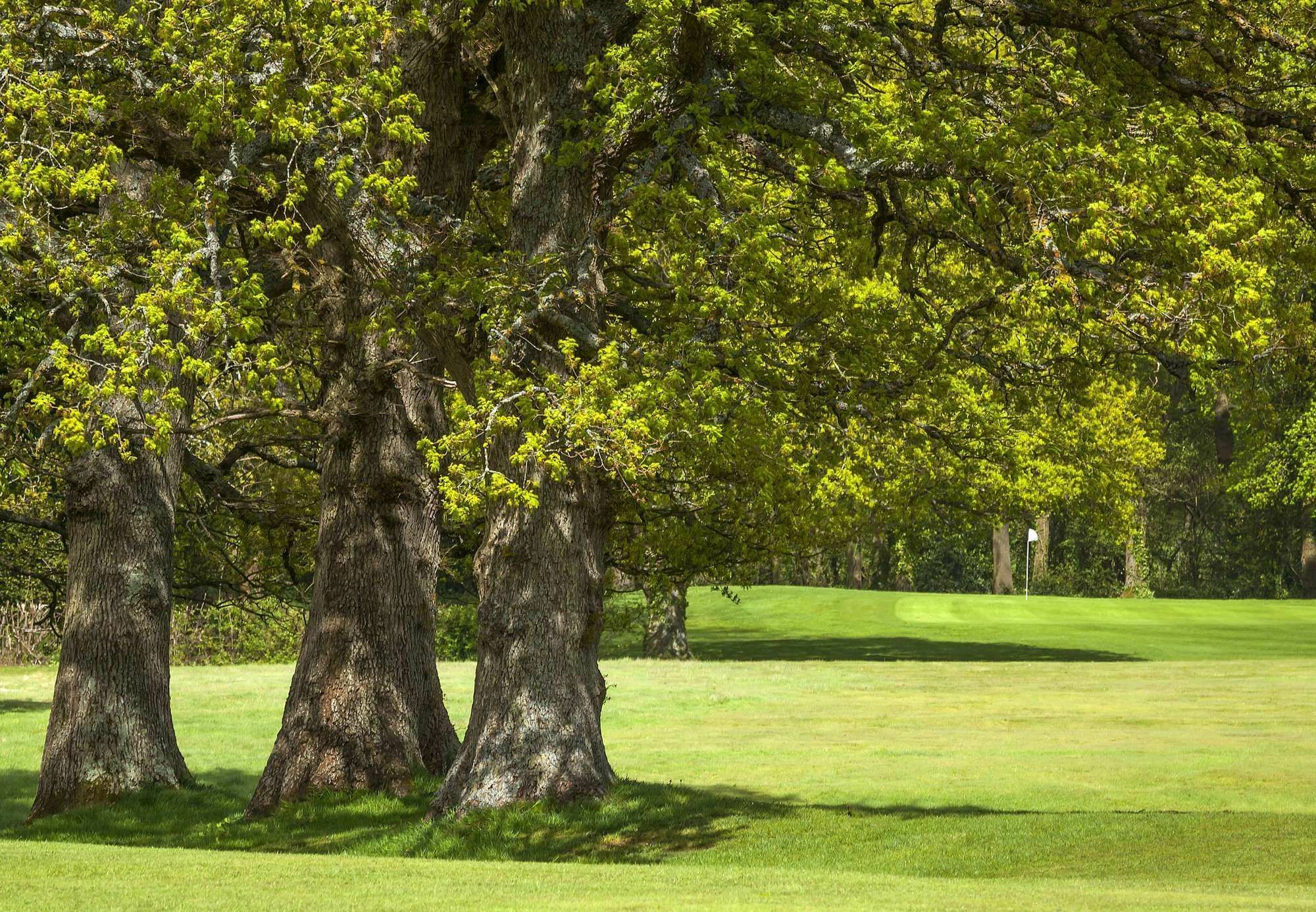 Meon Valley Hotel, Golf & Country Club Shedfield Dış mekan fotoğraf