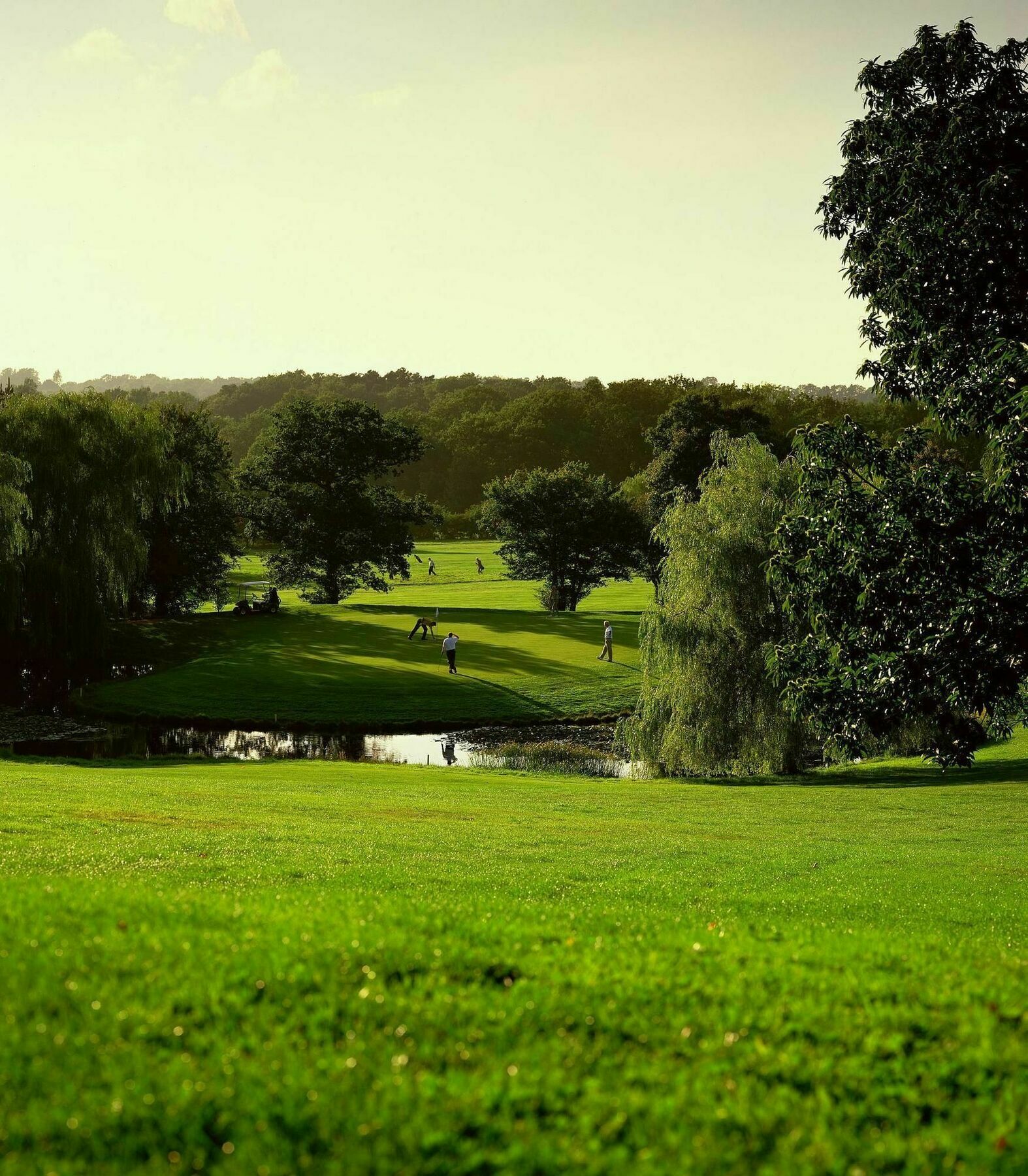 Meon Valley Hotel, Golf & Country Club Shedfield Dış mekan fotoğraf